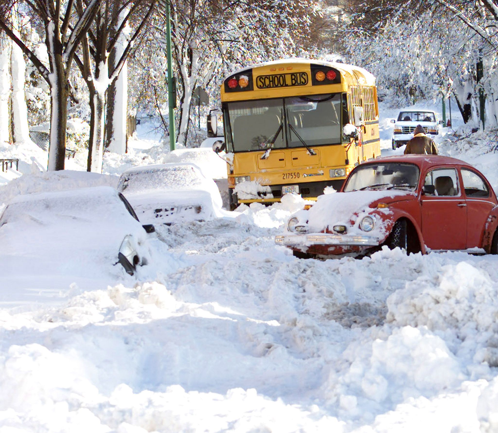 Boston School Closings: List Of Public, Private Schools Closed Tuesday ...