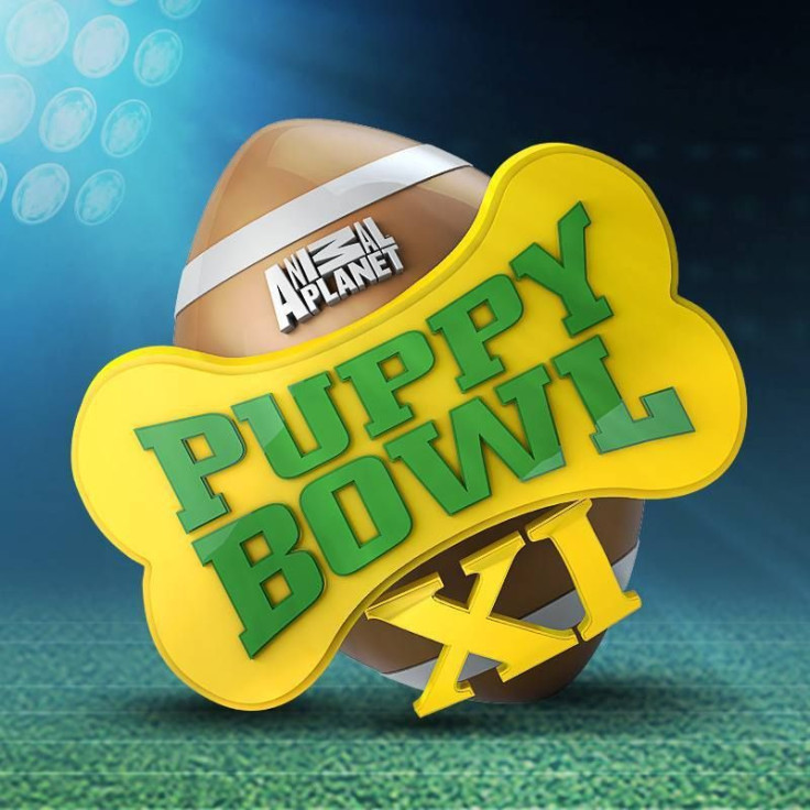 Puppy Bowl 2015