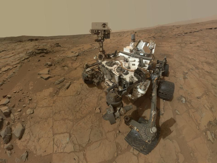 Curiosity Selfie