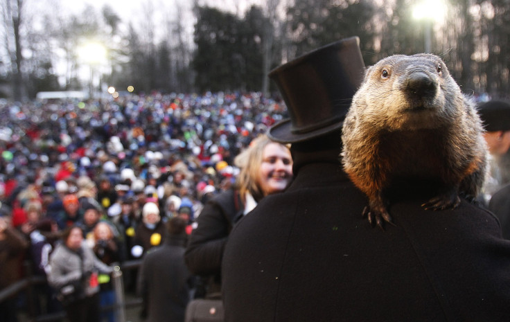 Groundhog Day 2015