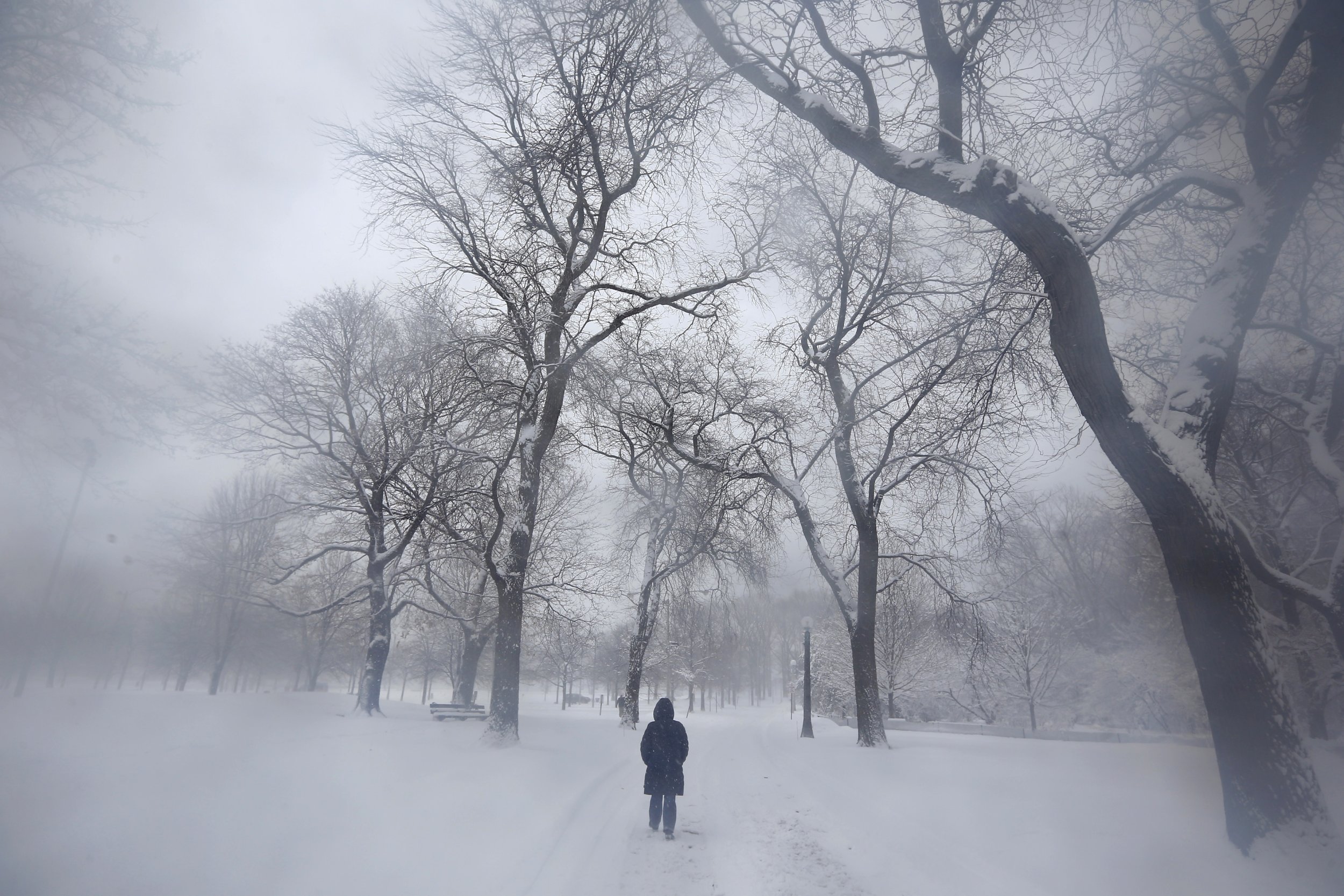 Blizzard 2015: Northeast Braces For Second Winter Storm, Flights ...