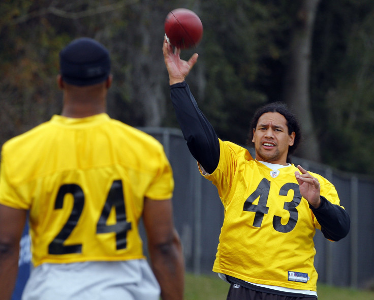 Troy Polamalu Ike Taylor