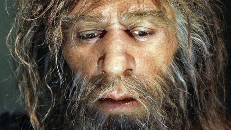 Neanderthal