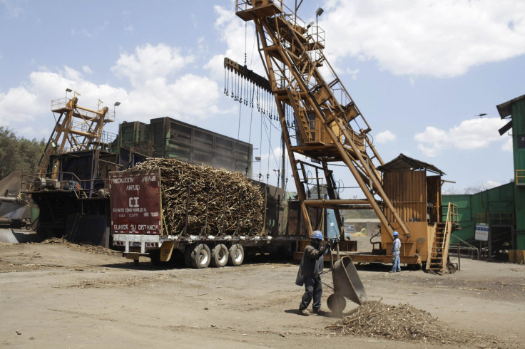 Izalco_sugar cane_el salvador