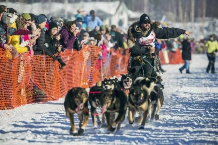 sled dog race
