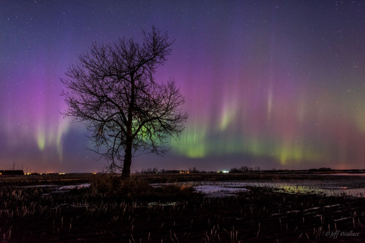 St. Patrick's Day Northern Lights