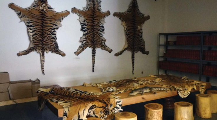 tiger skins