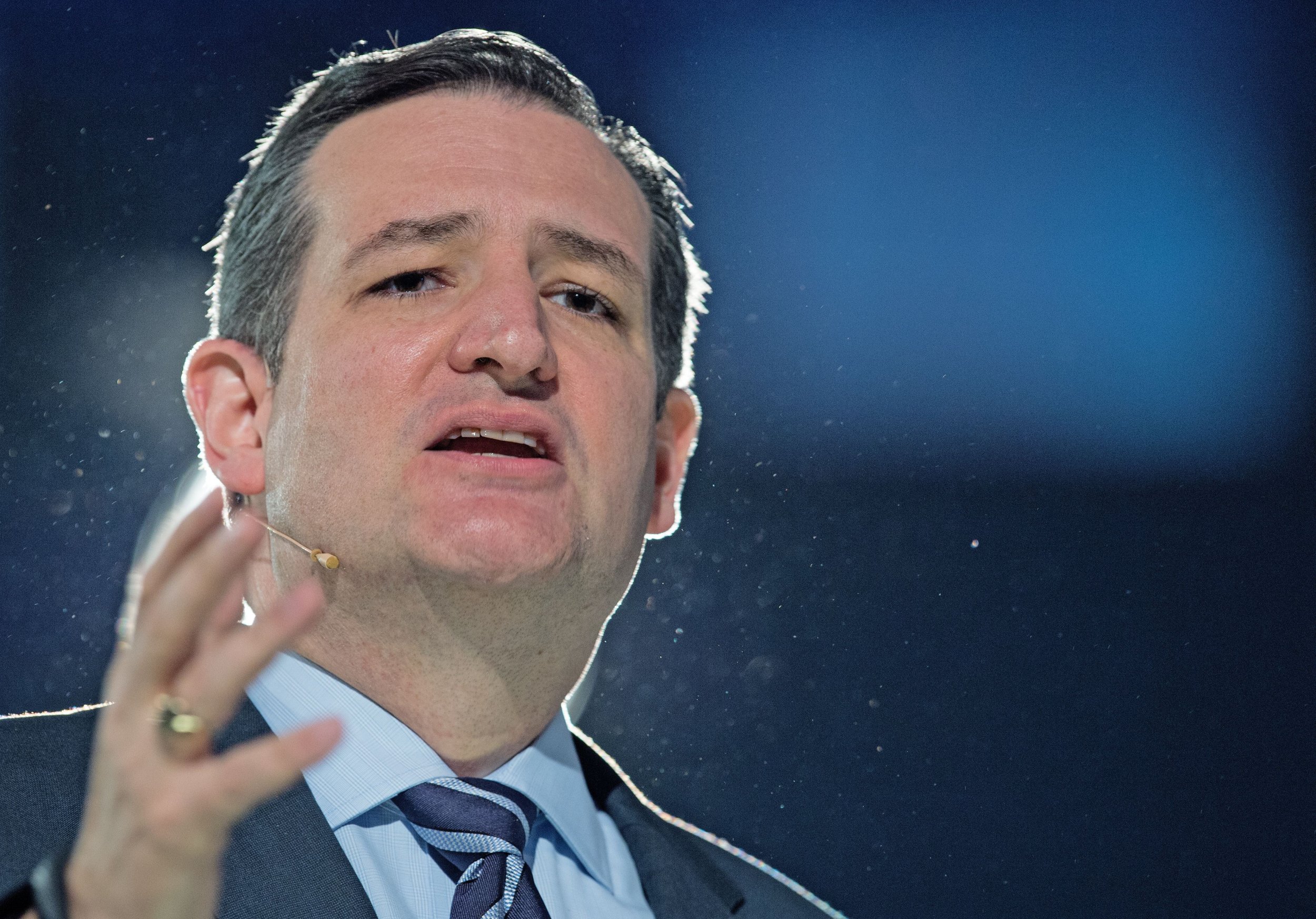 Election 2016: Can Ted Cruz Win The Conservative Mantle? | IBTimes