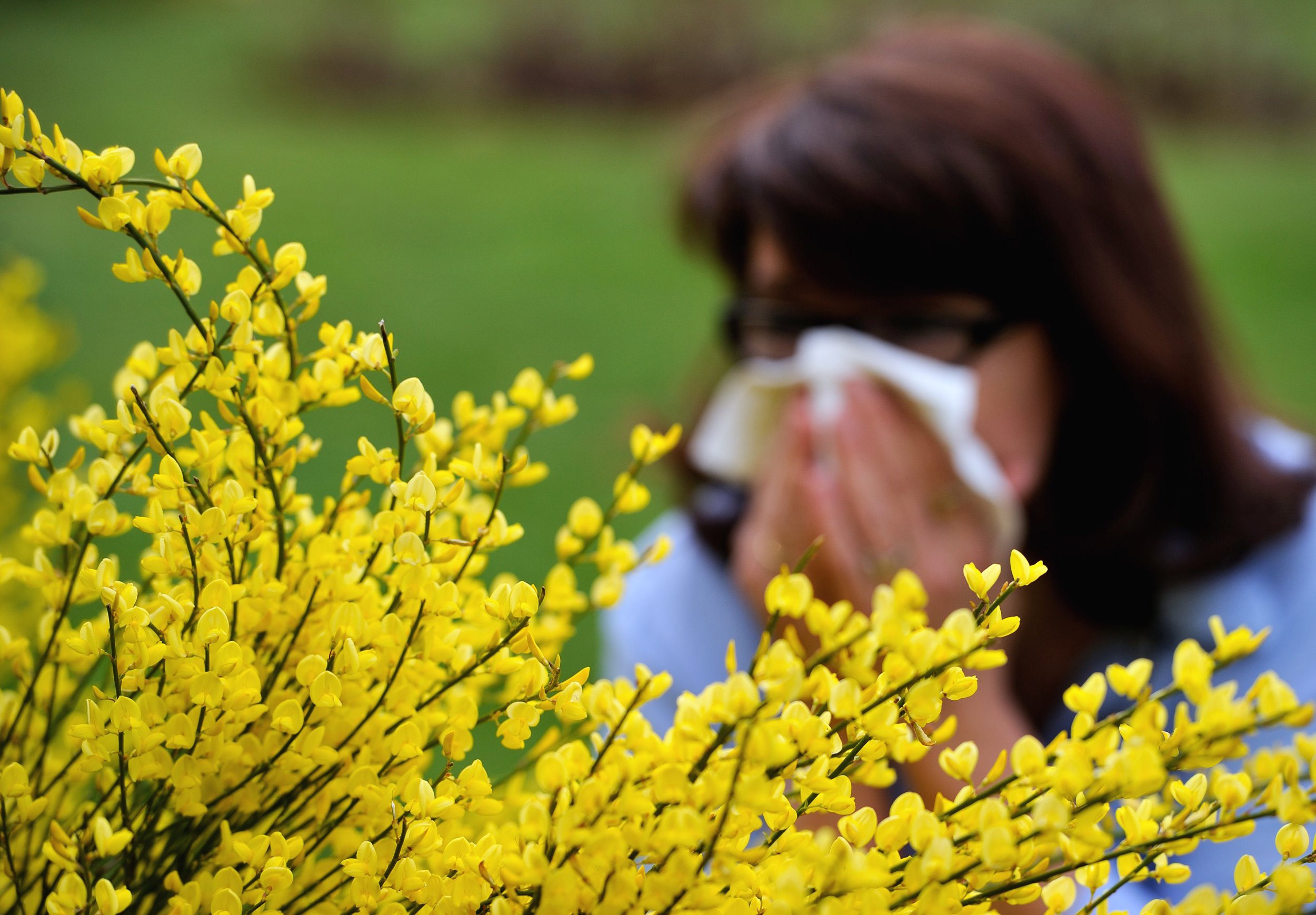 Allergy Season 2015: Hate Spring? 6 Survival Tips To Prevent Sneezing ...