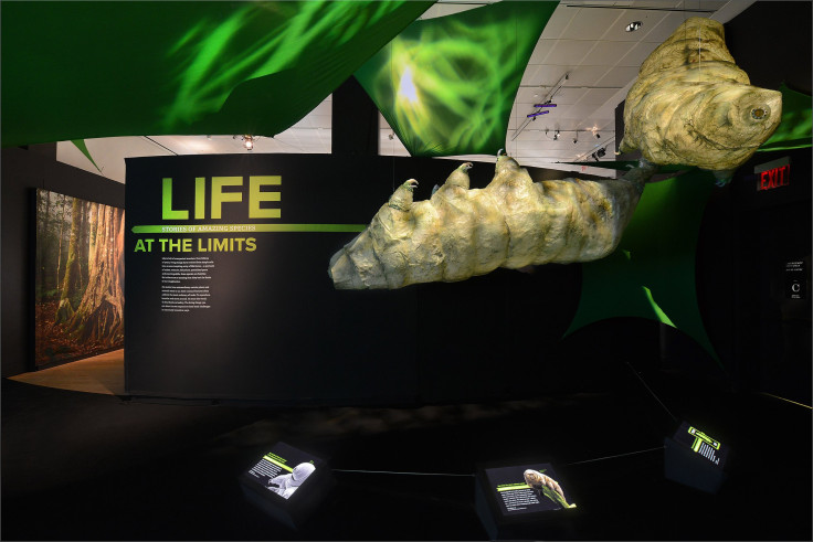 'Life At The Limits' Exhibit