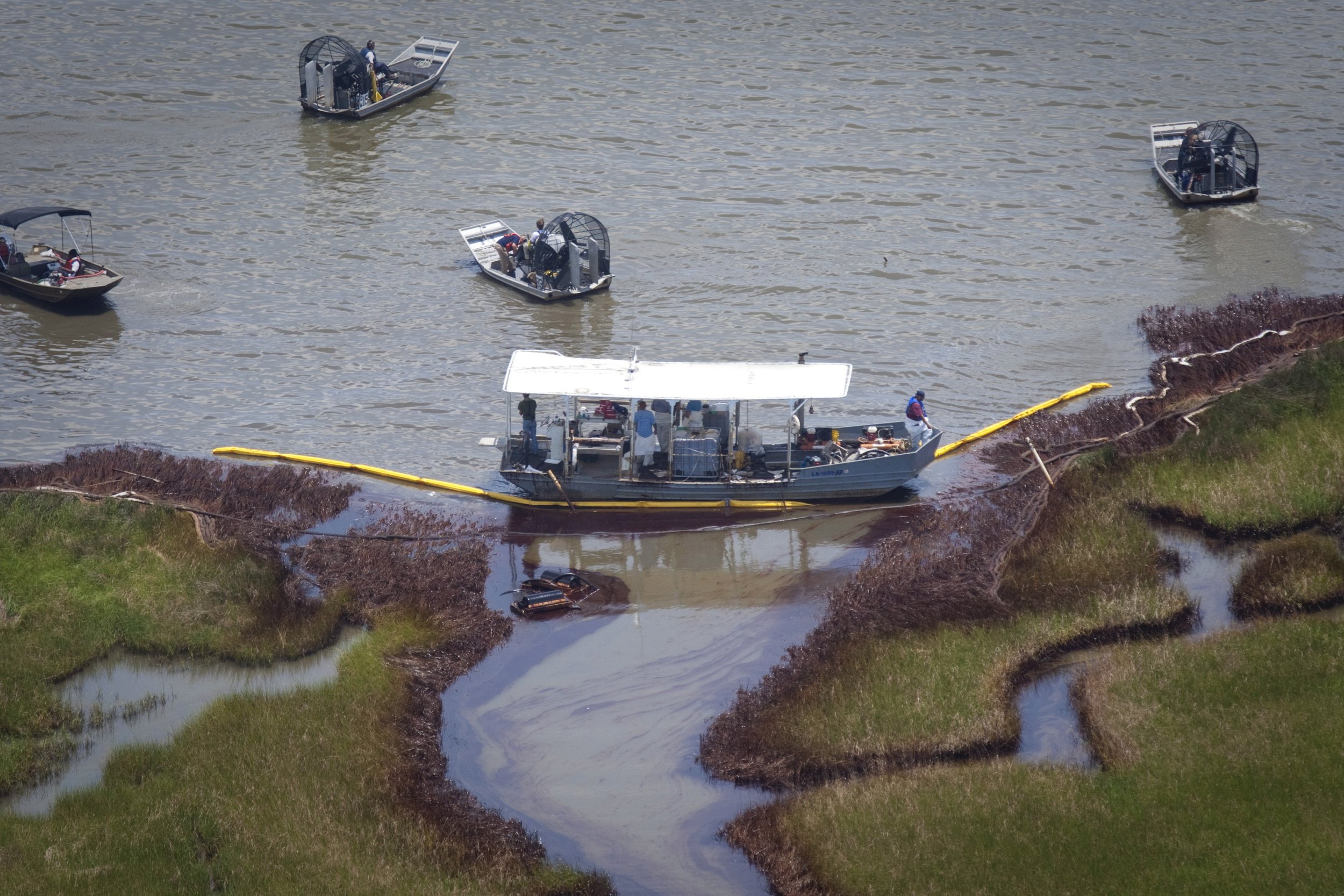 BP Oil Spill Louisiana Wetland Loss Is Speeding Up Due To Crude From