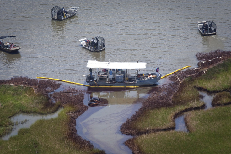 BP Oil Spill Pollution