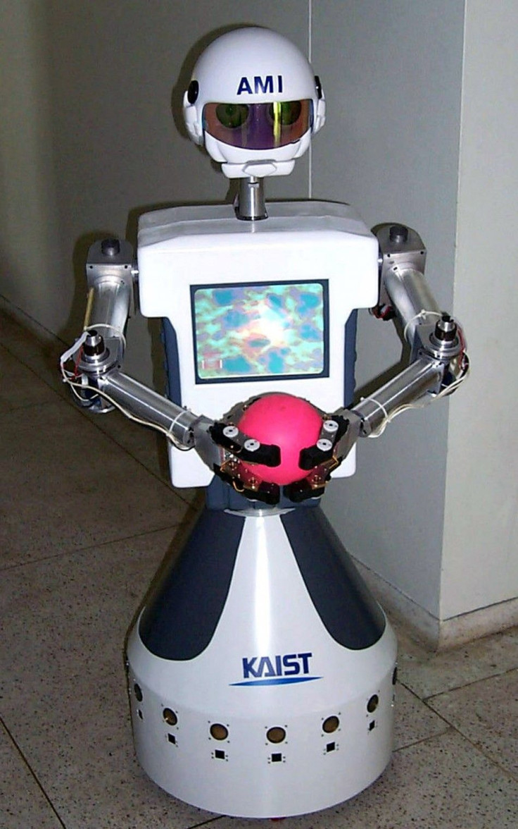 AMI Robot 