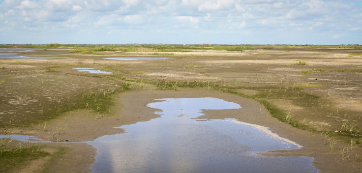 NOLA_Lake Hermitage Marsh Creation