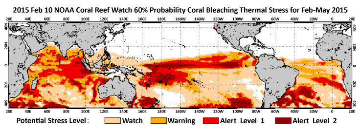 Coral Bleaching