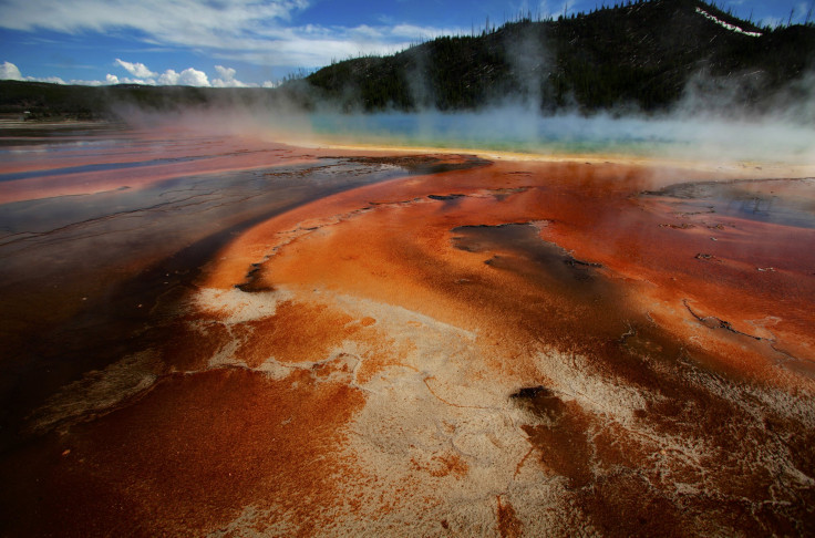 yellowstone (2)