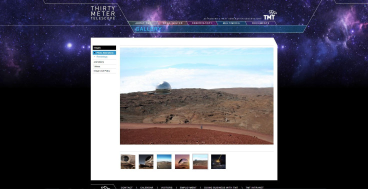 Screengrab of TMT website
