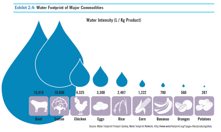 Water Intensive Foods