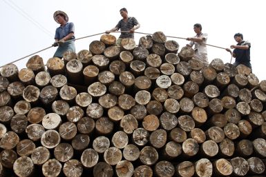 China Timber Industry