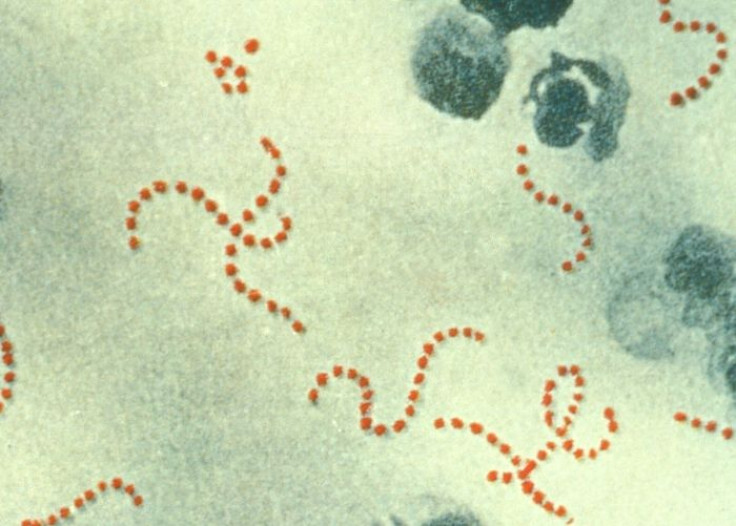 flesh bacteria