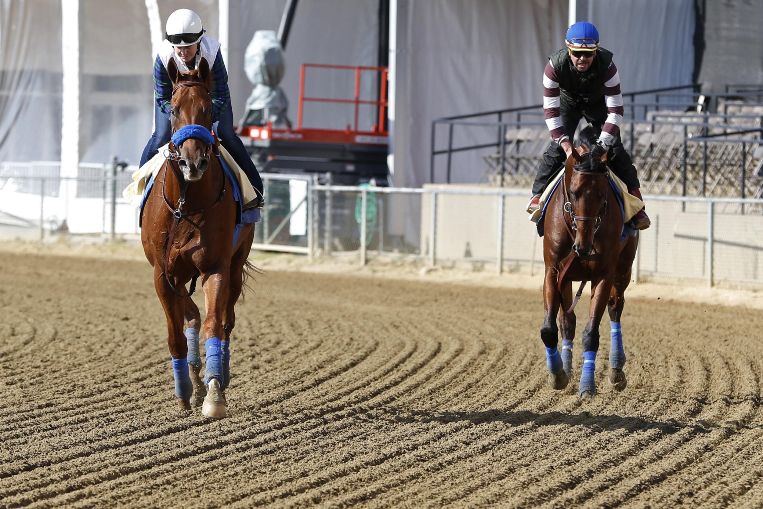 Preakness 2015 Weather Forecast, Post Time And Positions; American