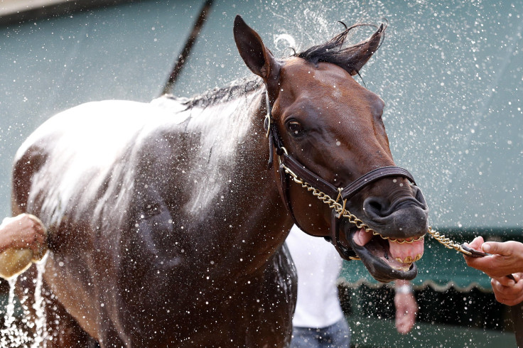 Dortmund Preakness 2015