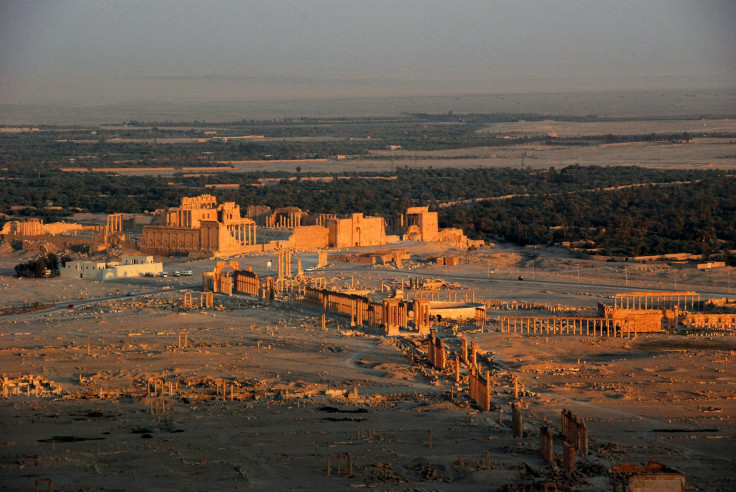 palmyra