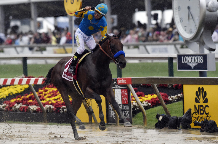 American Pharoah Preakess 2015