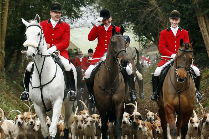 Fox Hunting UK