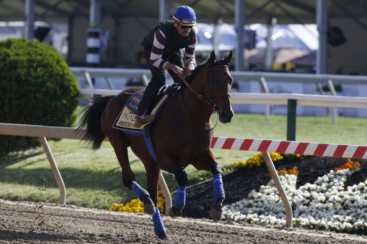 American Pharoah Preakess 2015