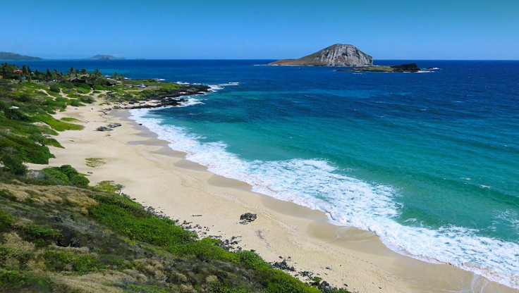 1200px-Makapuʻu_Beach