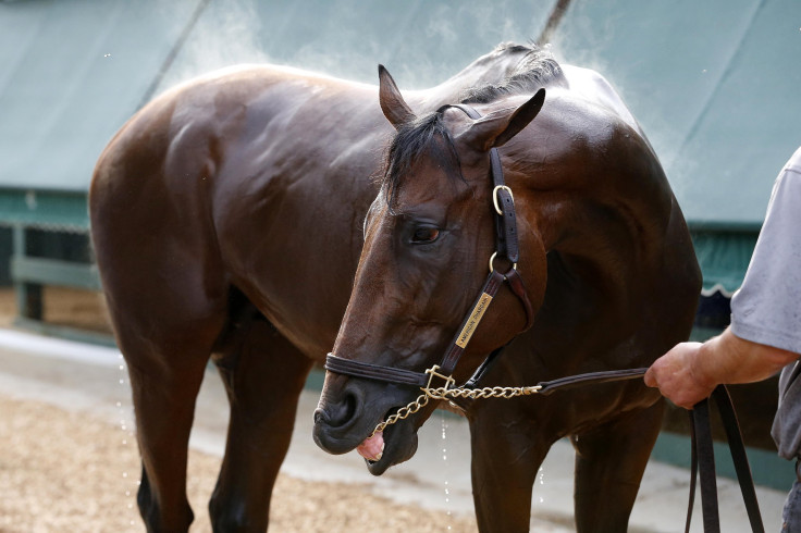 American Pharoah 2015