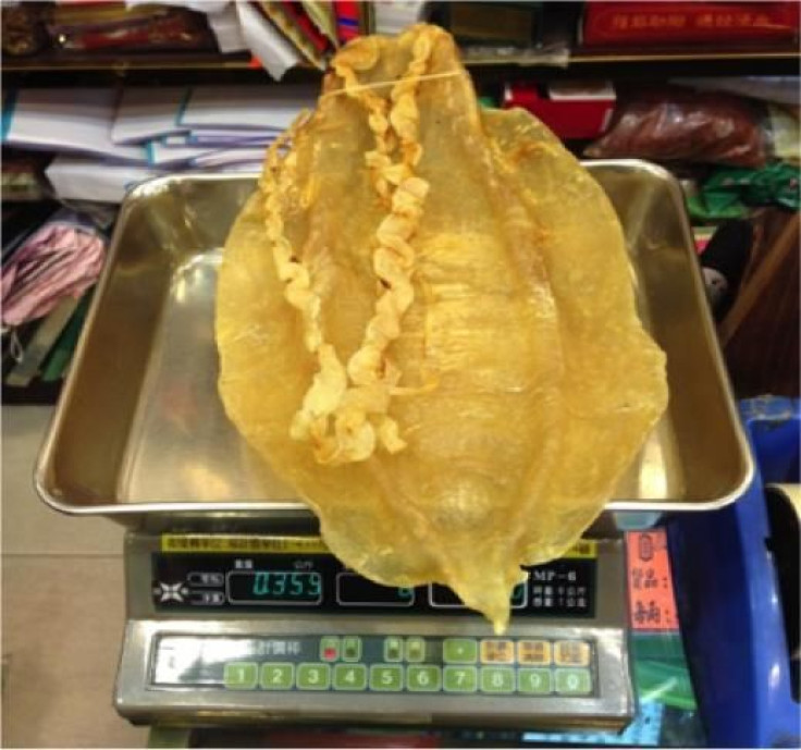 Totoaba bladder China endangered species