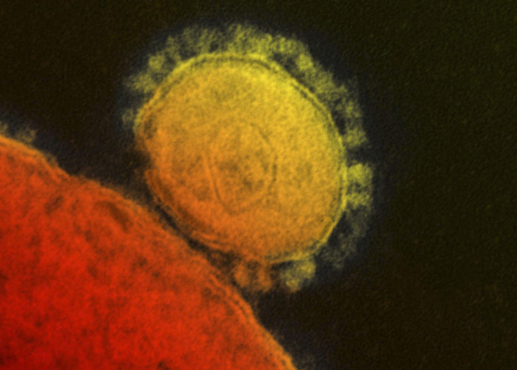 MERS Middle East Respiratory Syndrome