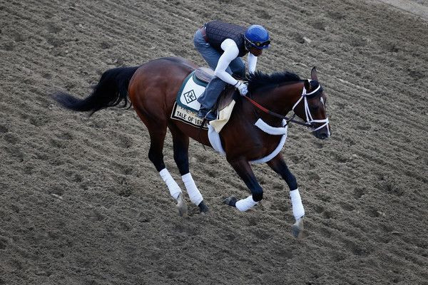 Tale of Verve Belmont 2015
