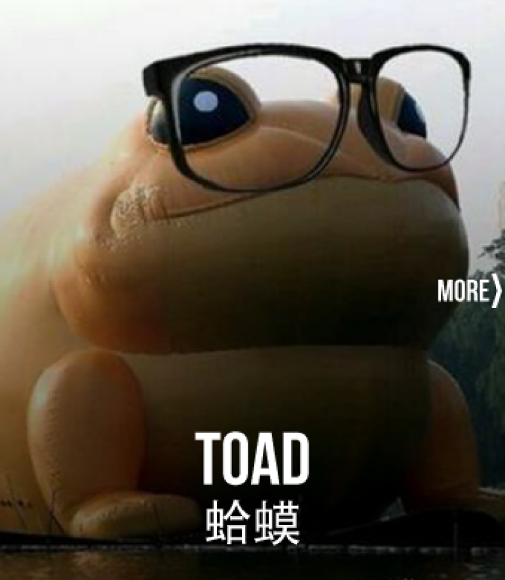 Weibo censorship Toad