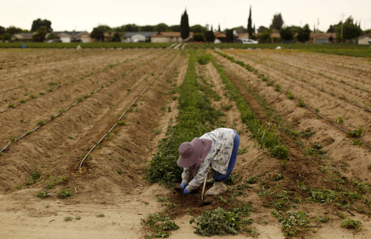 California Drought Crisis