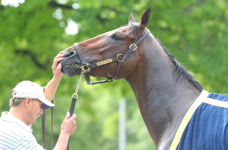 American Pharoah Belmont 2015