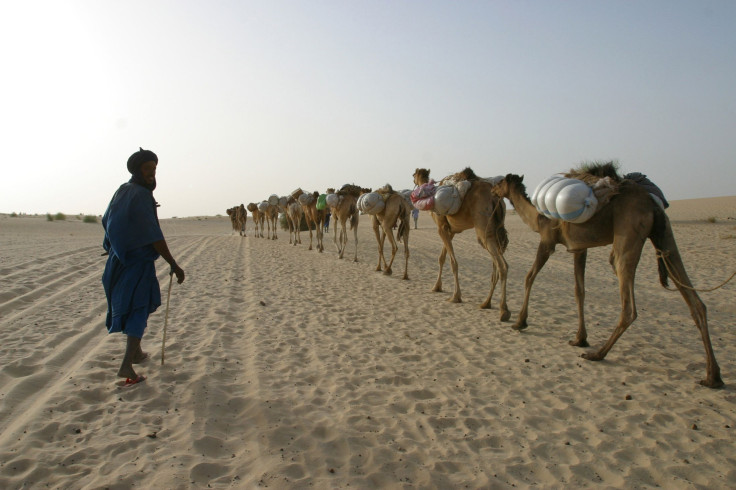 Sahara Terrorist Groups Cocaine Smuggling 