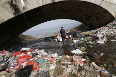 China's polluted waters