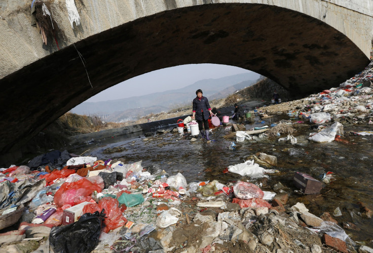 China's polluted waters