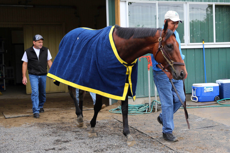 American Pharoah Belmont 2015