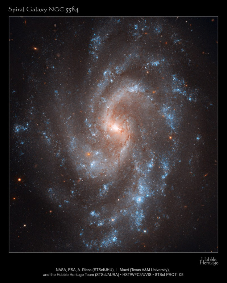 The brilliant, blue glow of young stars trace the graceful spiral arms of galaxy NGC 5584 in this Hubble Space Telescope image