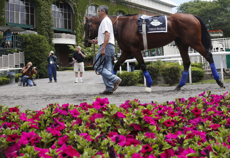 American Pharoah 2015