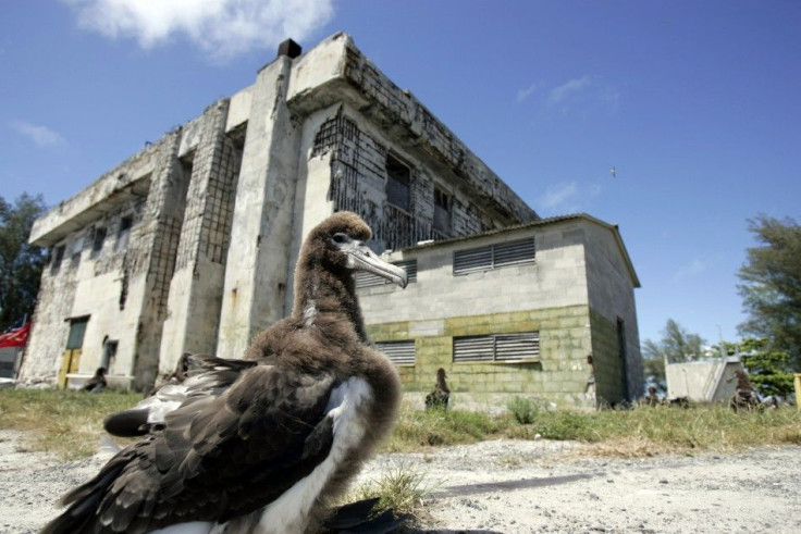 A baby Albatross sits in front of a power plant that survived the &quot;Battle of Midway&quot; on Midway Island