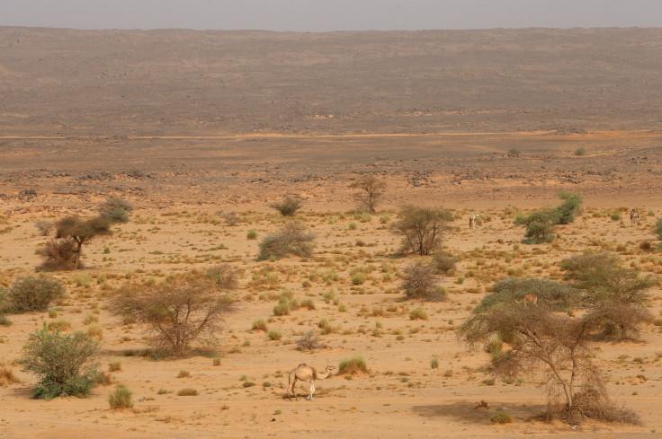 Sahara desert