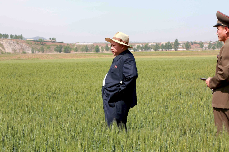 North Korea Agriculture, North Korea