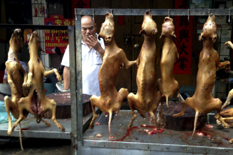 CHINA-DOG-MEAT