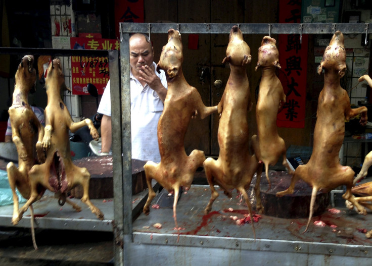 CHINA-DOG-MEAT