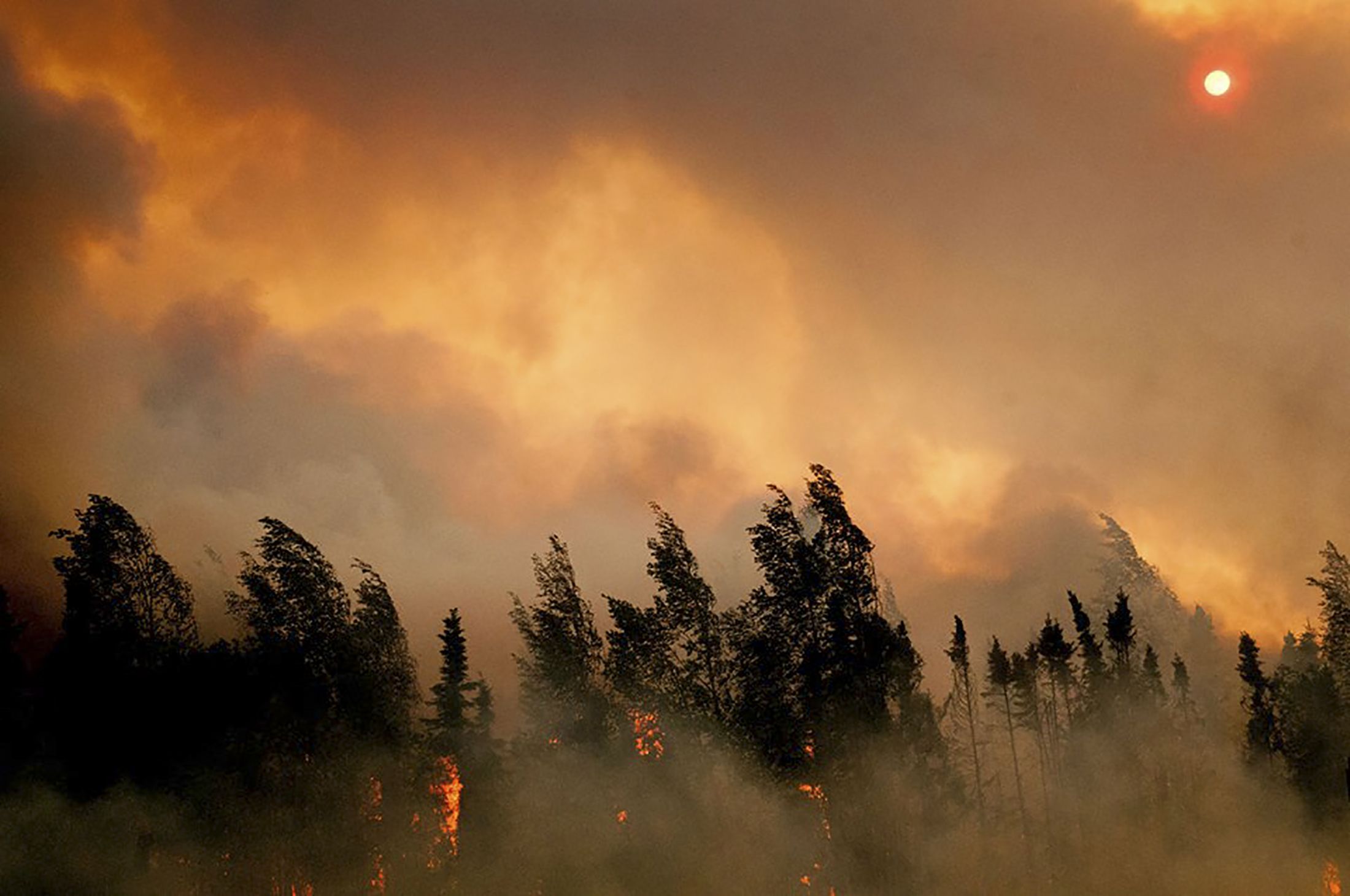 Alaska Wildfires Getting Stronger And Lasting Longer Report IBTimes